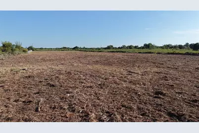 19039 NW 252nd Street, Okeechobee, FL 34972 - Photo 3