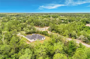31825 Nutmeg Ave, Eustis, FL 32736 - Photo 51