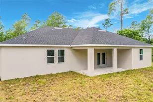 31825 Nutmeg Ave, Eustis, FL 32736 - Photo 49