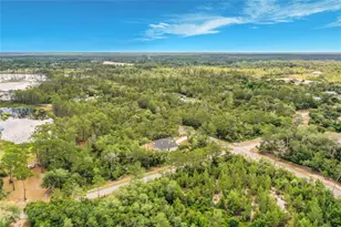 31825 Nutmeg Ave, Eustis, FL 32736 - Photo 55