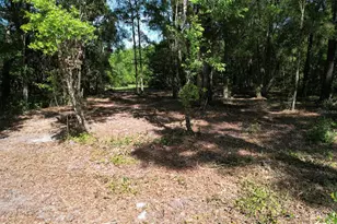 SE 164th Terrace, Williston, FL 32696 - Photo 1