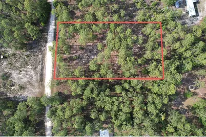 148th Court, Morriston, FL 32668 - Photo 9