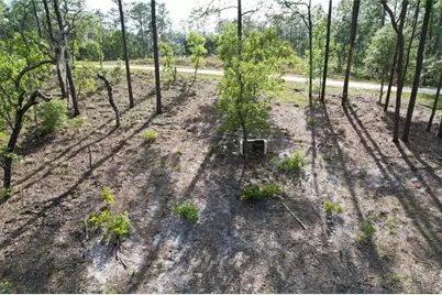 148th Court, Morriston, FL 32668 - Photo 5