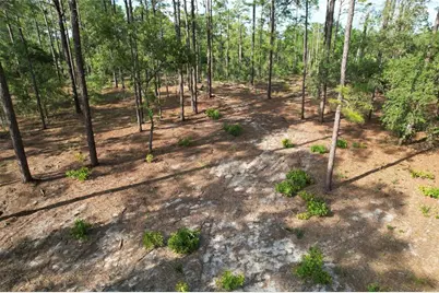 148th Court, Morriston, FL 32668 - Photo 3