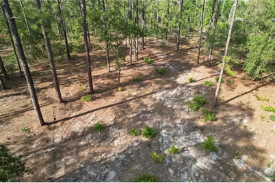 148th Court, Morriston, FL 32668 - Photo 1