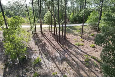 148th Court, Morriston, FL 32668 - Photo 7