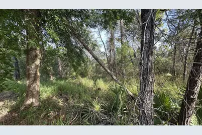 0 Olive Circle, Ocala, FL 34472 - Photo 3