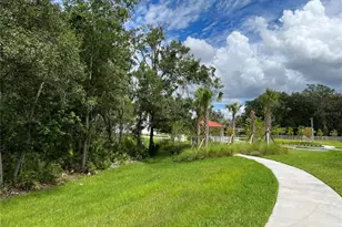 4517 Sparkling Shell Ave, Kissimmee, FL 34746 - Photo 19