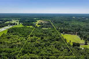 6780 Sugarbush Ln, Polk City, FL 33868 - Photo 13