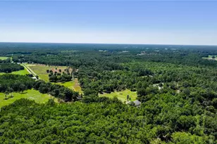 6780 Sugarbush Ln, Polk City, FL 33868 - Photo 15