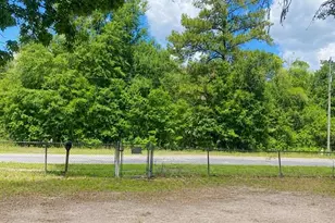928 Dawn Ave, Interlachen, FL 32148 - Photo 17