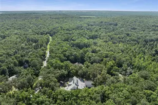 21033 Violet Rd, Brooksville, FL 34601 - Photo 59