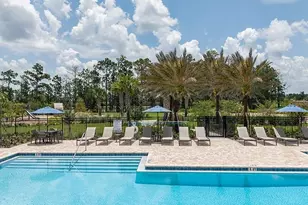 14784 Field Daisy Dr, Winter Garden, FL 34787 - Photo 39