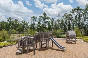 14784 Field Daisy Dr, Winter Garden, FL 34787 - Photo 45