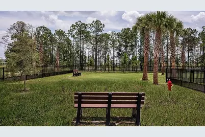 14784 Field Daisy Drive, Winter Garden, FL 34787 - Photo 45