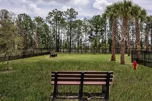 14784 Field Daisy Dr, Winter Garden, FL 34787 - Photo 45