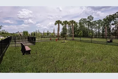 14784 Field Daisy Drive, Winter Garden, FL 34787 - Photo 47