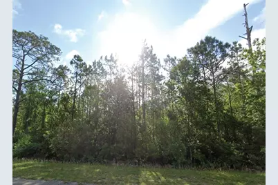1677 S State Road 19, Palatka, FL 32177 - Photo 1