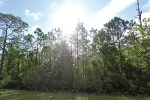 1677 S State Rd 19, Palatka, FL 32177 - Photo 1