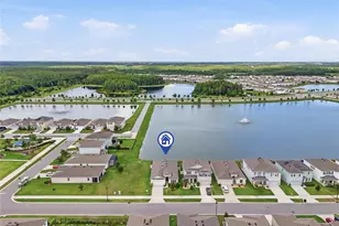 3228 Living Coral Dr, Odessa, FL 33556 - Photo 41