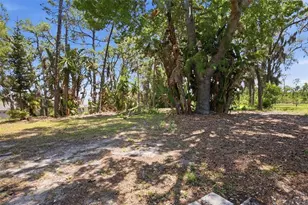 14521 Pimberton Dr, Hudson, FL 34667 - Photo 39