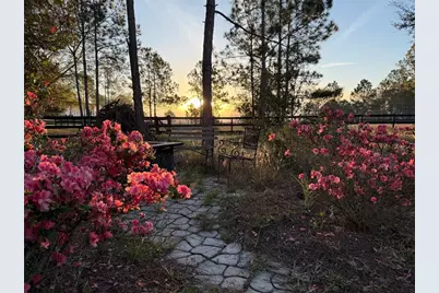 35620 Pinegate Trail, Eustis, FL 32736 - Photo 97