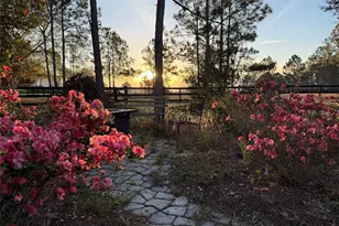 35620 Pinegate Trail, Eustis, FL 32736 - Photo 97