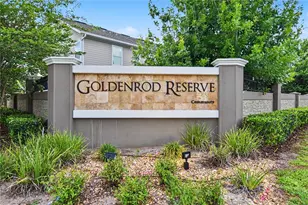 4240 Gumbo Limbo Dr, Orlando, FL 32822 - Photo 43