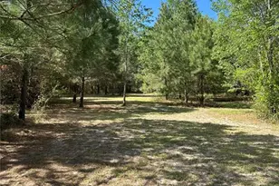 1449 SE October Rd, Lake City, FL 32025 - Photo 1