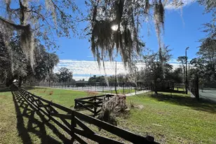 2142 Town Pasture Dr, Eustis, FL 32726 - Photo 19