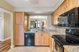 6210 Raintree Dr, Orlando, FL 32822 - Photo 3