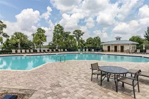 10612 Reams Rd, Windermere, FL 34786 - Photo 39