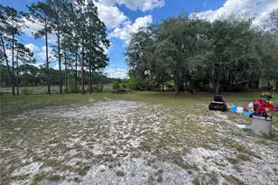 31601 Spruce Dr, Eustis, FL 32736 - Photo 5