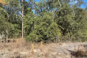 Southwest Beach Blvd, Dunnellon, FL 34431 - Photo 1