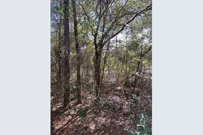 Southwest Beach Blvd, Dunnellon, FL 34431 - Photo 5
