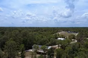 1871 NE 154 Ave, Williston, FL 32696 - Photo 45
