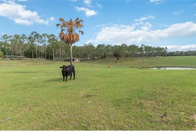 23175 N Buckhill Road, Howey in the Hills, FL 34737 - Photo 19