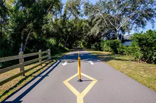 1101 Eagles Pass Wy, Winter Garden, FL 34787 - Photo 61