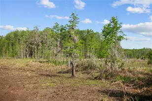 9650 Cockatoo Ln, Groveland, FL 34736 - Photo 49