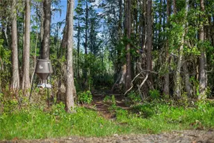 9650 Cockatoo Ln, Groveland, FL 34736 - Photo 51
