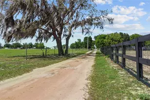 9650 Cockatoo Ln, Groveland, FL 34736 - Photo 53