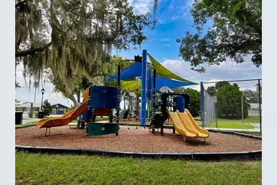 9650 Cockatoo Lane, Groveland, FL 34736 - Photo 61