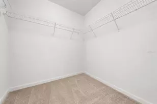 15568 Blackbead St, Winter Garden, FL 34787 - Photo 19