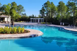 15086 Lebeau Loop, Winter Garden, FL 34787 - Photo 29