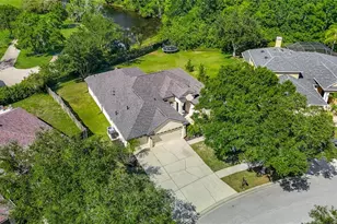 16923 Melissa Ann Dr, Lutz, FL 33558 - Photo 49