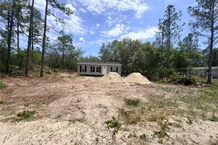 205 Hudson St, Interlachen, FL 32148 - Photo 41