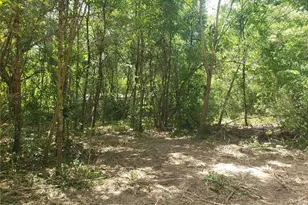 5601 NW 71st St, Ocala, FL 34482 - Photo 5