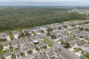 10264 Love Story St, Winter Garden, FL 34787 - Photo 39