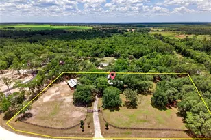 11630 SE 78 St, Morriston, FL 32668 - Photo 1