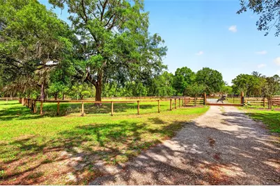11630 SE 78th Street, Morriston, FL 32668 - Photo 3